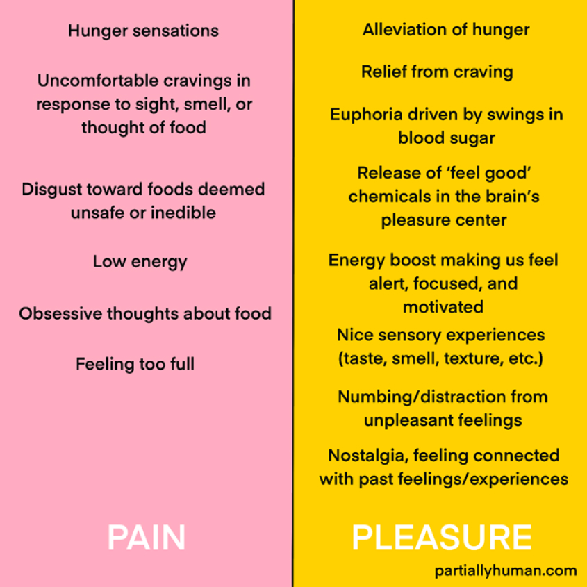 Pain and pleasure