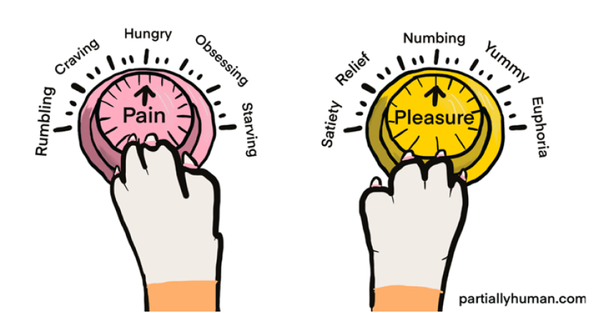 Pain And Pleasure