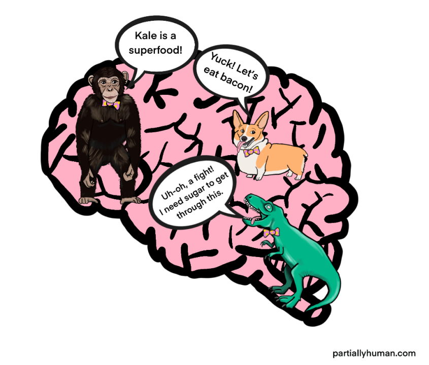 Dog in Your Head