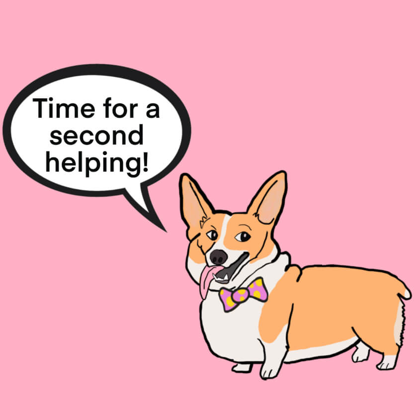 Dog in Your Head Asking for Snacks