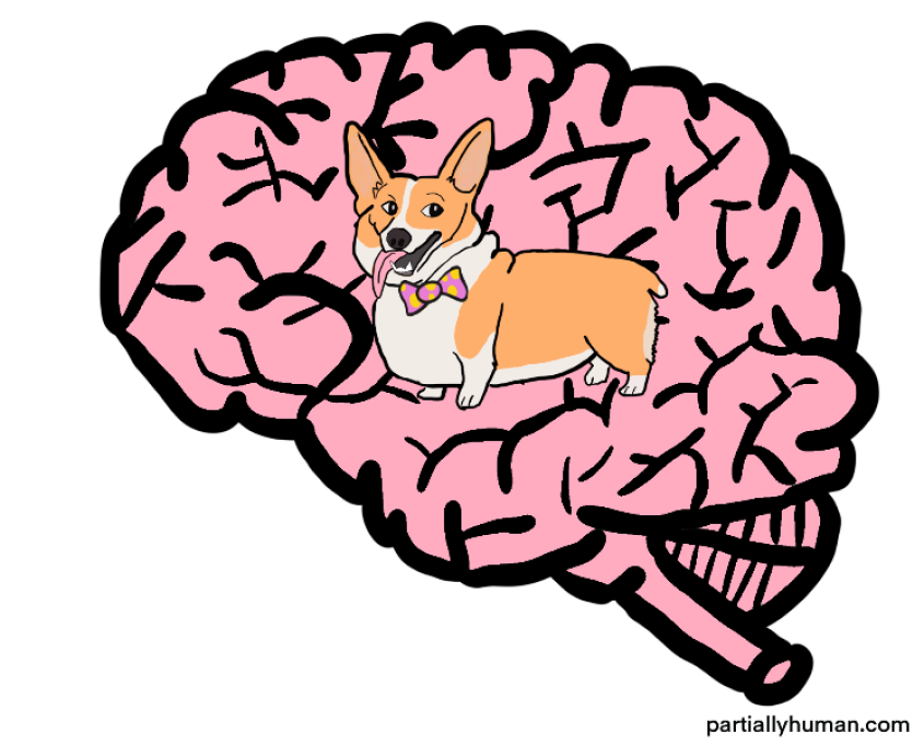 Dog in your mind