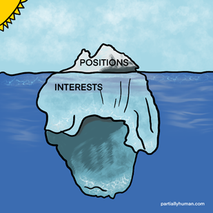 Positions and interests