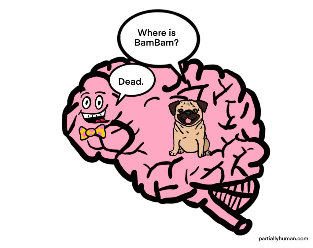 Pug asks "where is BamBam" and cortex says "dead"