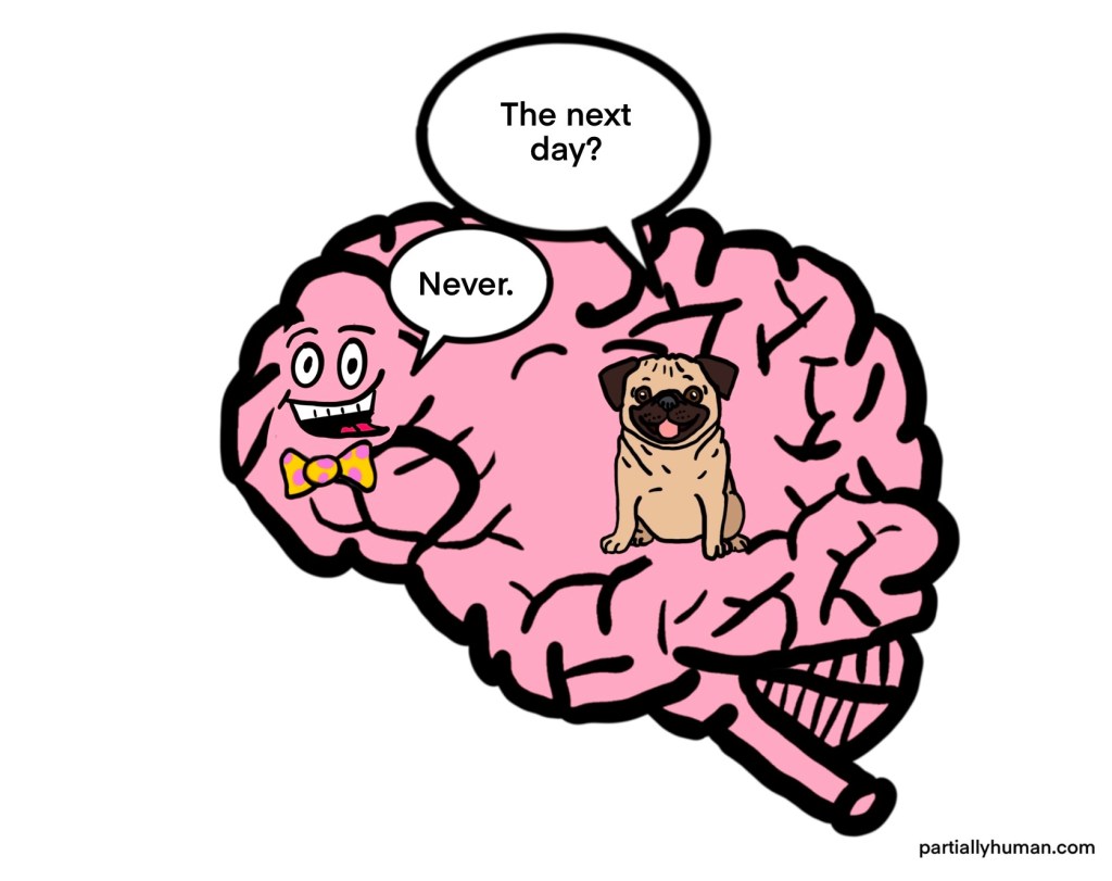 Pug asks about the next day, cortex says never