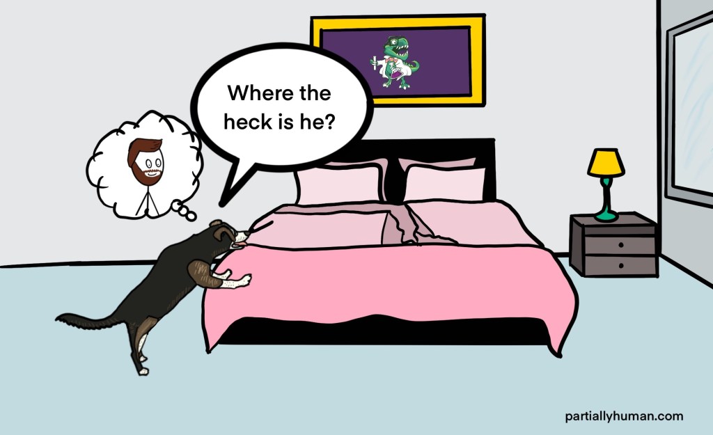 Jelly checking empty bed