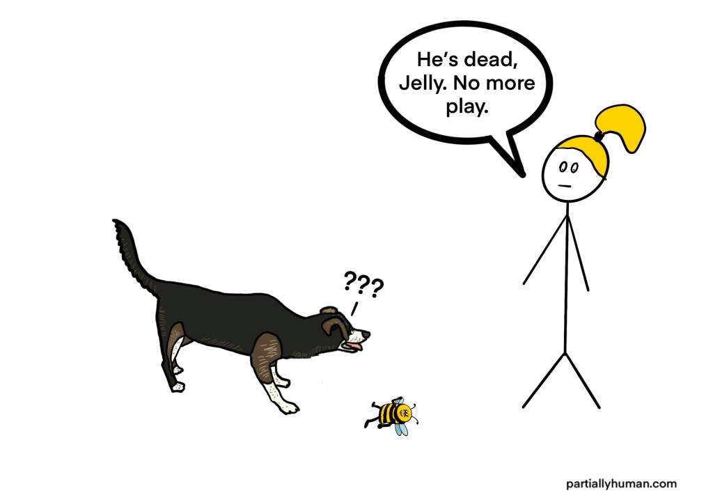 Girl saying to confused dog "he's dead, Jelly. no more play"