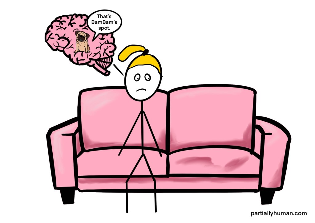 Sitting on couch, looking at BamBam's empty spot, the pug in girl's brain points at that it's BamBam's spot