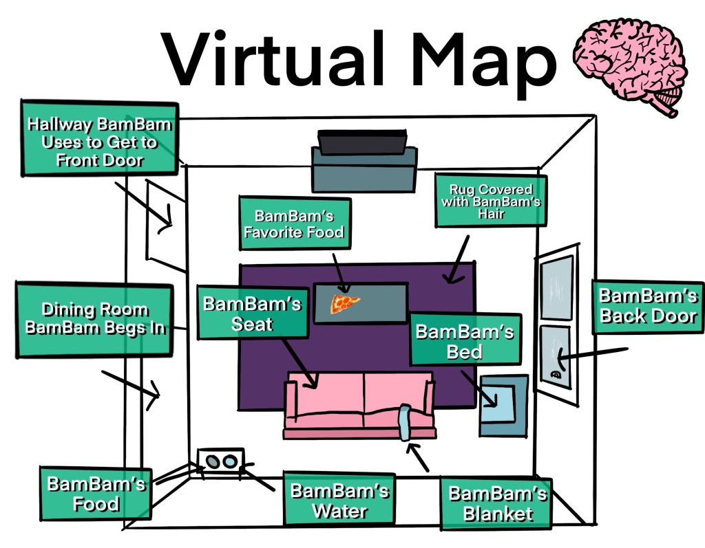 Map of living room, and everything is labeled as BamBam's