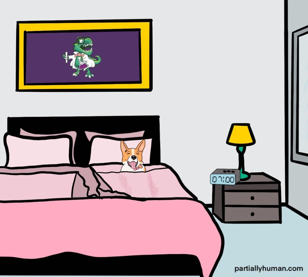Dog in bed sleeping at 7 pm